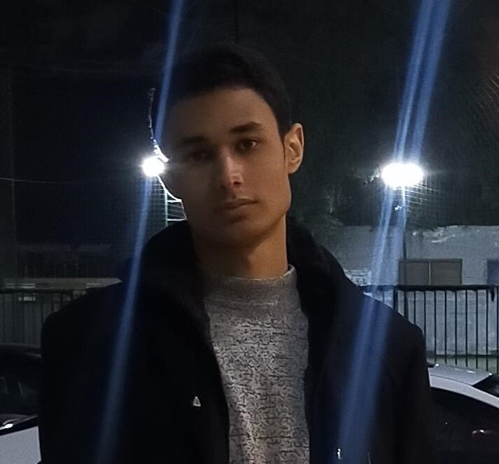 Professional developer